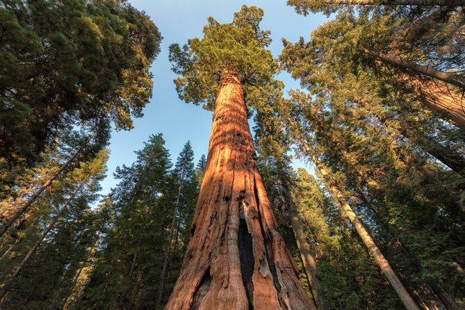 Yosemite National Park Self Guided Driving Audio Tour Guide - Yosemite Valley highlights: Sentinel Rock and Yosemite Falls