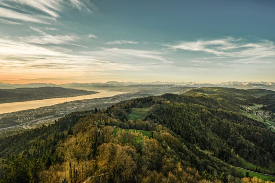 Zurich: Audio Guided City Tour and Train to “Top of Zurich” - Who should book this Zurich experience?
